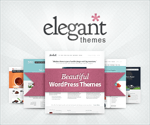 Elegant theme Divi 