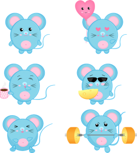 MemberMouse