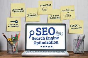 SEO for newbies